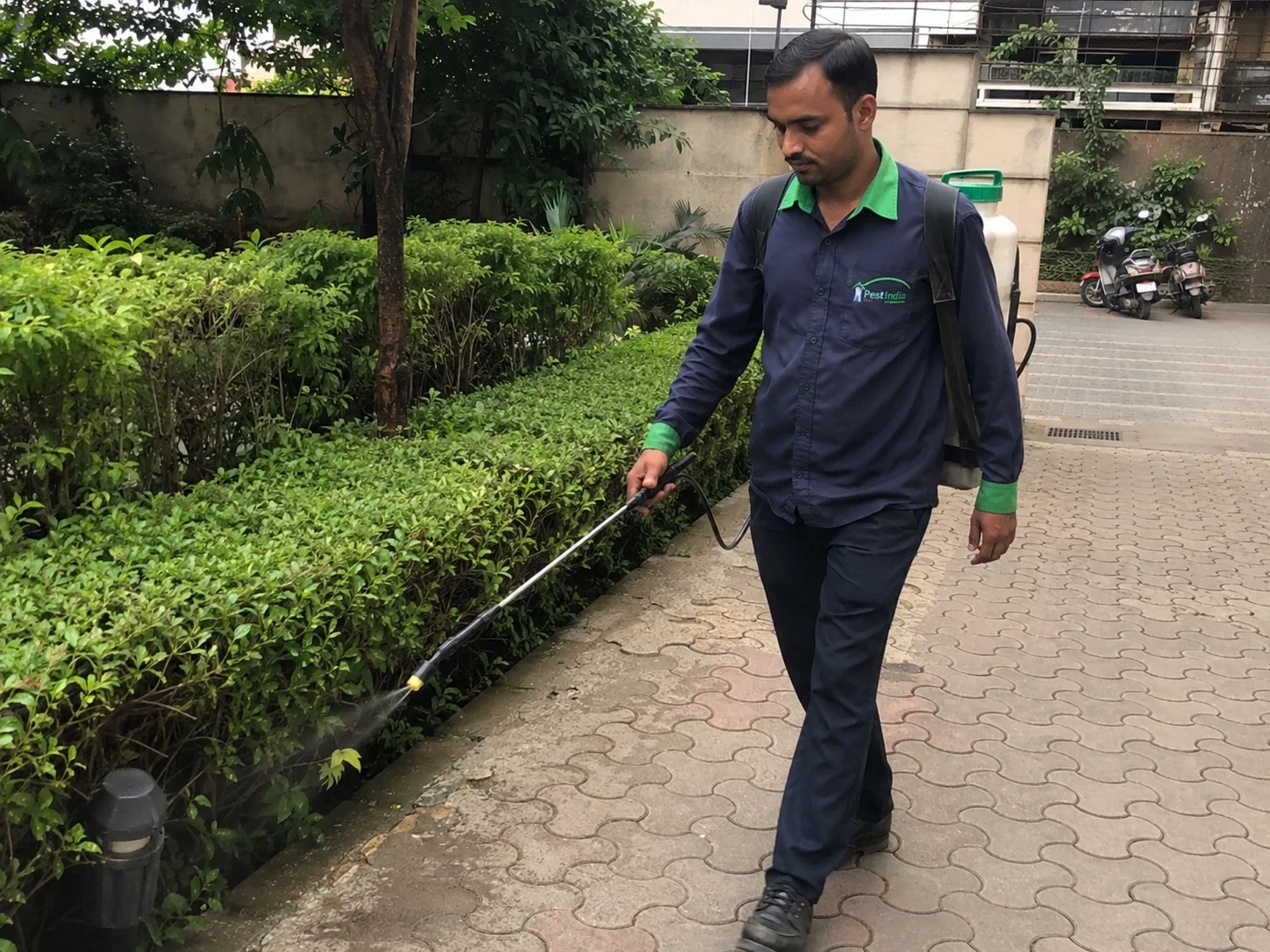 Adulticidal Site Spray — Mosquito Control in Mumbai, Thane and Navi Mumbai